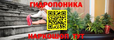 СК Донецк
