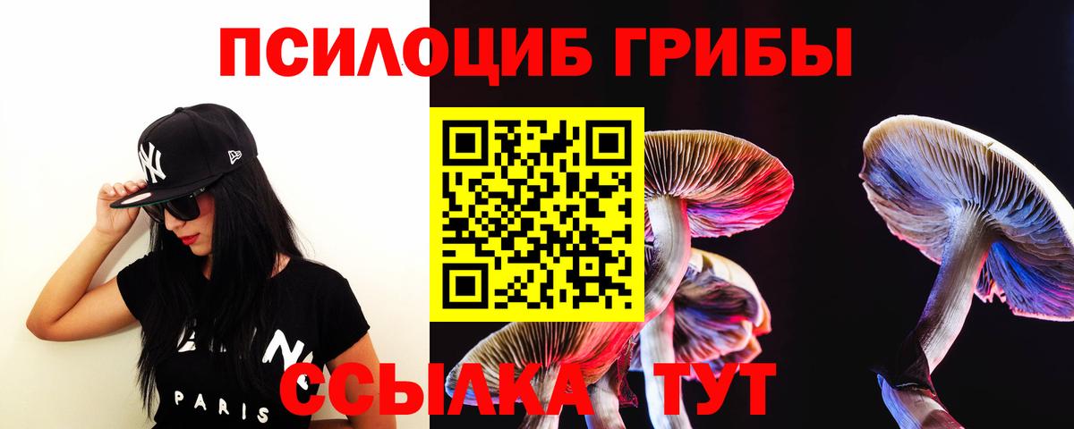 Миасс  где можно купить   Вход с VPN  Галлюциногенные грибы мицелий 